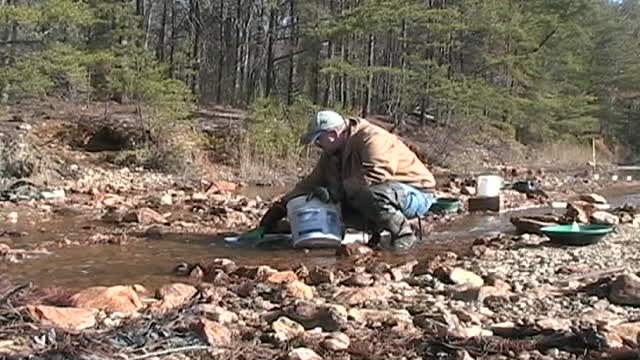 VA Gold On the Creek Contrary Creek with Jkrem Jan 2008