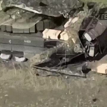 This symbolizes modern warfare: this Russian tank got stung by a tiny mosquito