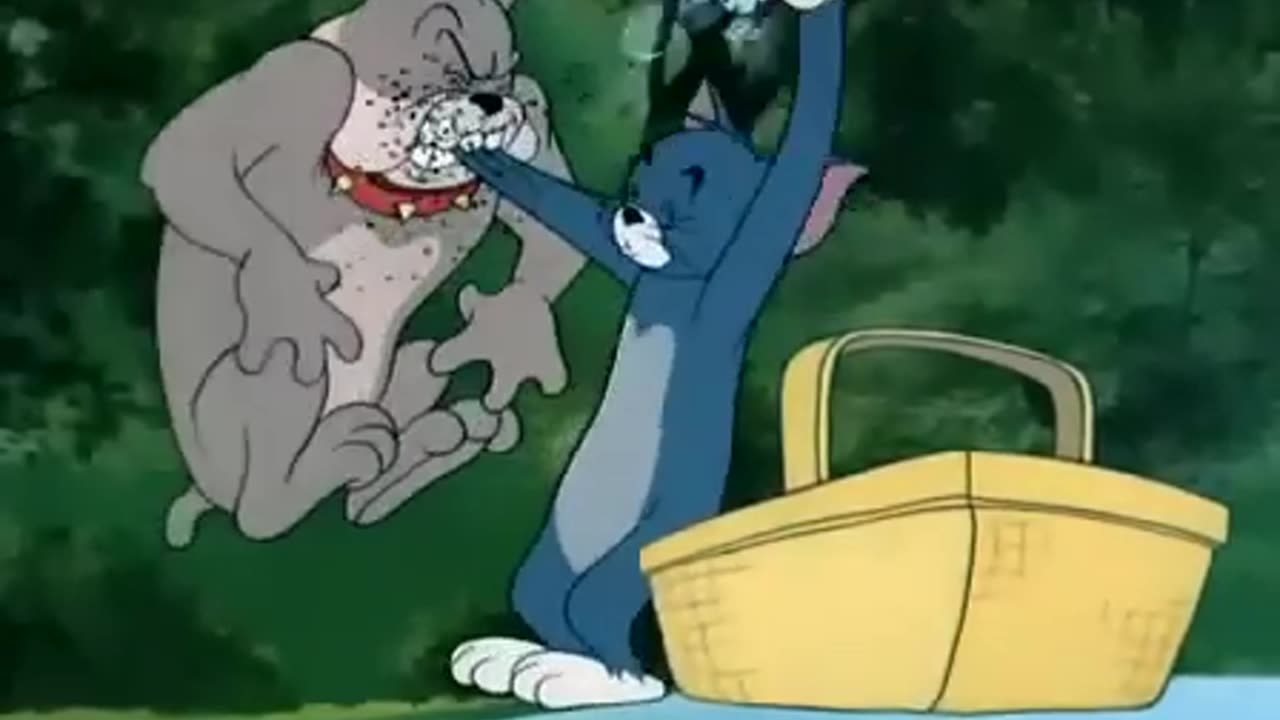 Tom and Jerry - Pup on a Picnic