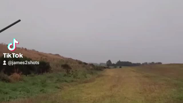 Mp133 in real life