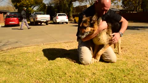 This Military Dog Hasn’t Seen His Soldier In 2 Years. When They Let Go Of His Leash, Watch!