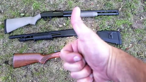 3 Budget Shotguns