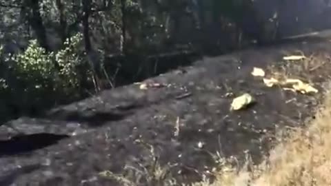 Mais soldados atingidos na Ukraine/Ucrania