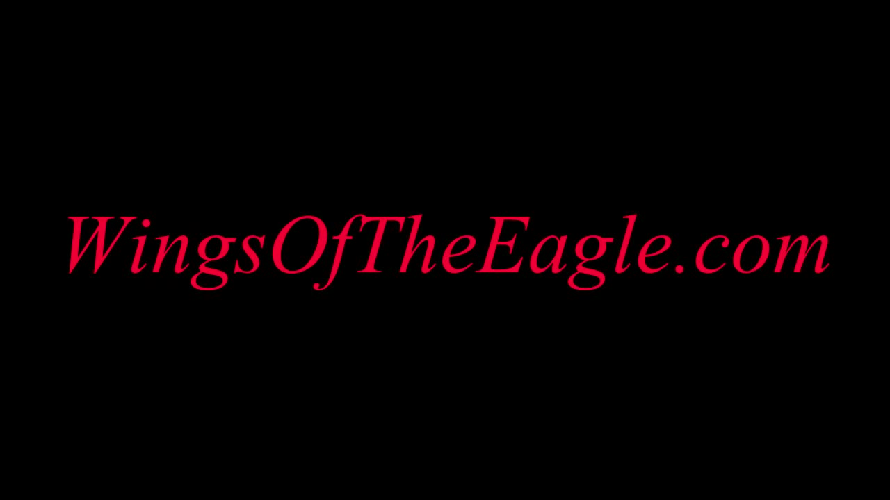 Wings of the Eagle - Network with fellow Believers who will Resist the Beast