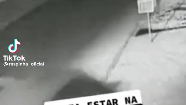 NINJA NINJA