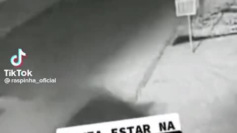 NINJA NINJA