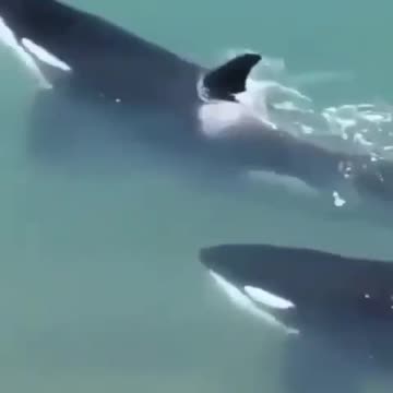 The eye sees, but the tooth doesn’t