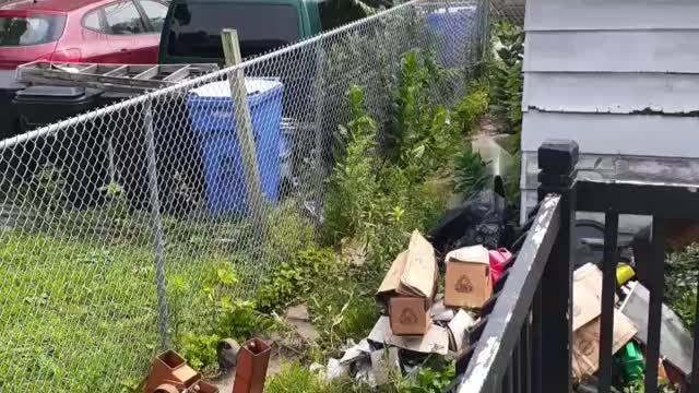 Me an the bros YARDWORK