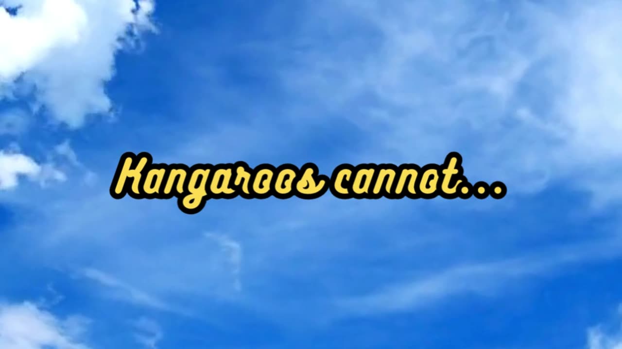 Animal Facts Kangaroo Movement #shorts