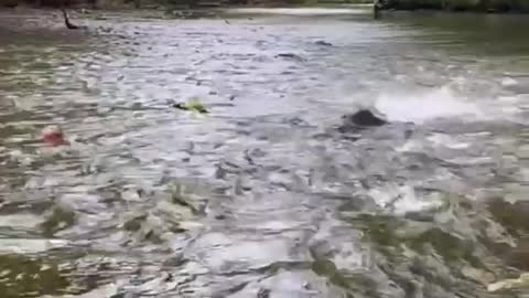 They're Pushing