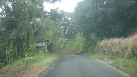 St Lucia Community of Grand Ravine