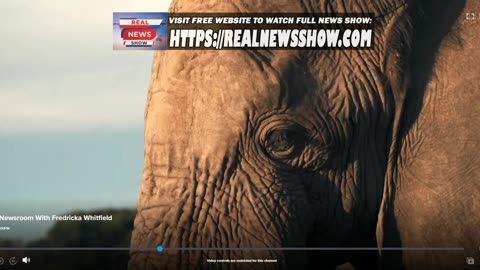 CNN Newsroom With Fredricka Whitfield 3PM - 7/13/2024