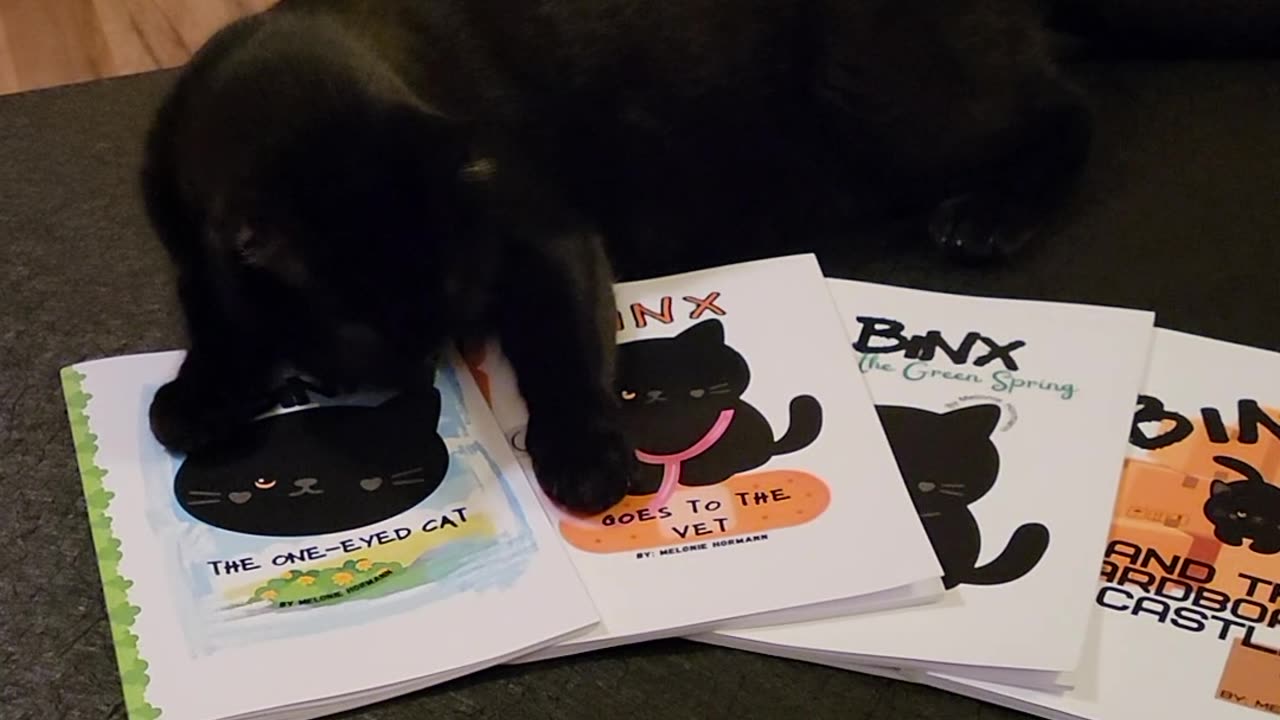 Binx loves her Books♡