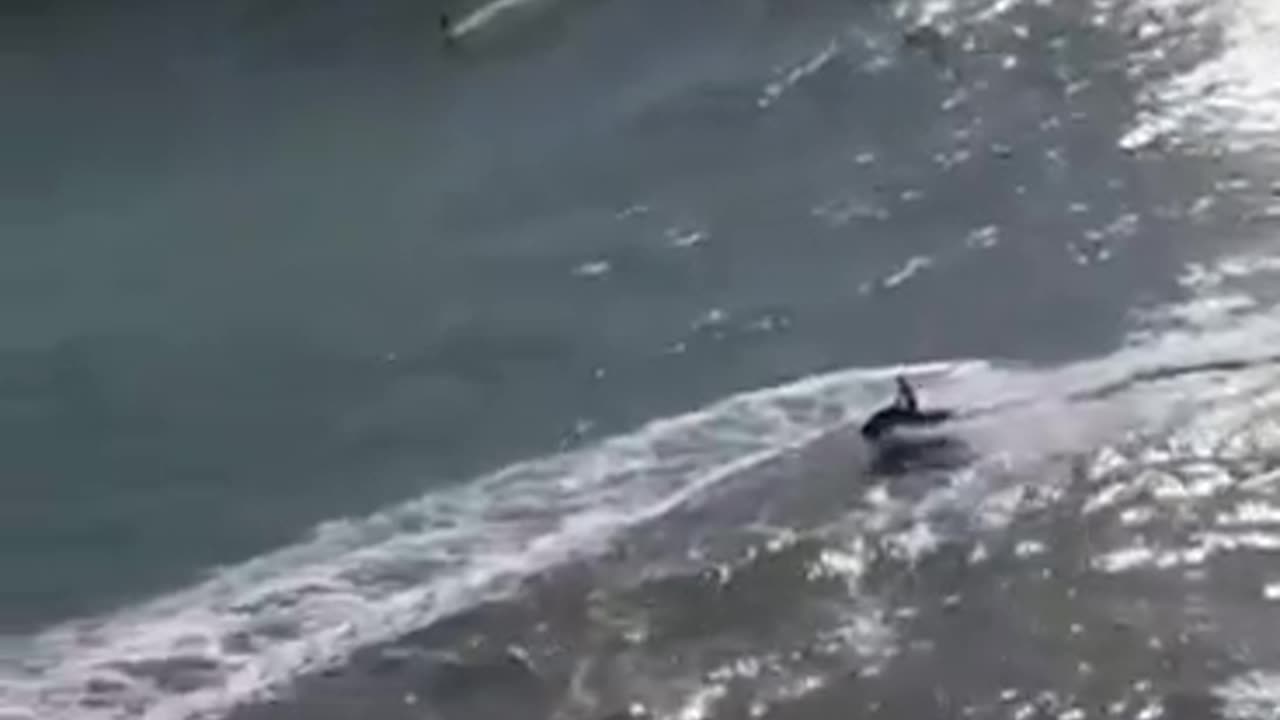 German Surfer Riding a 115 Ft wave in Portugal