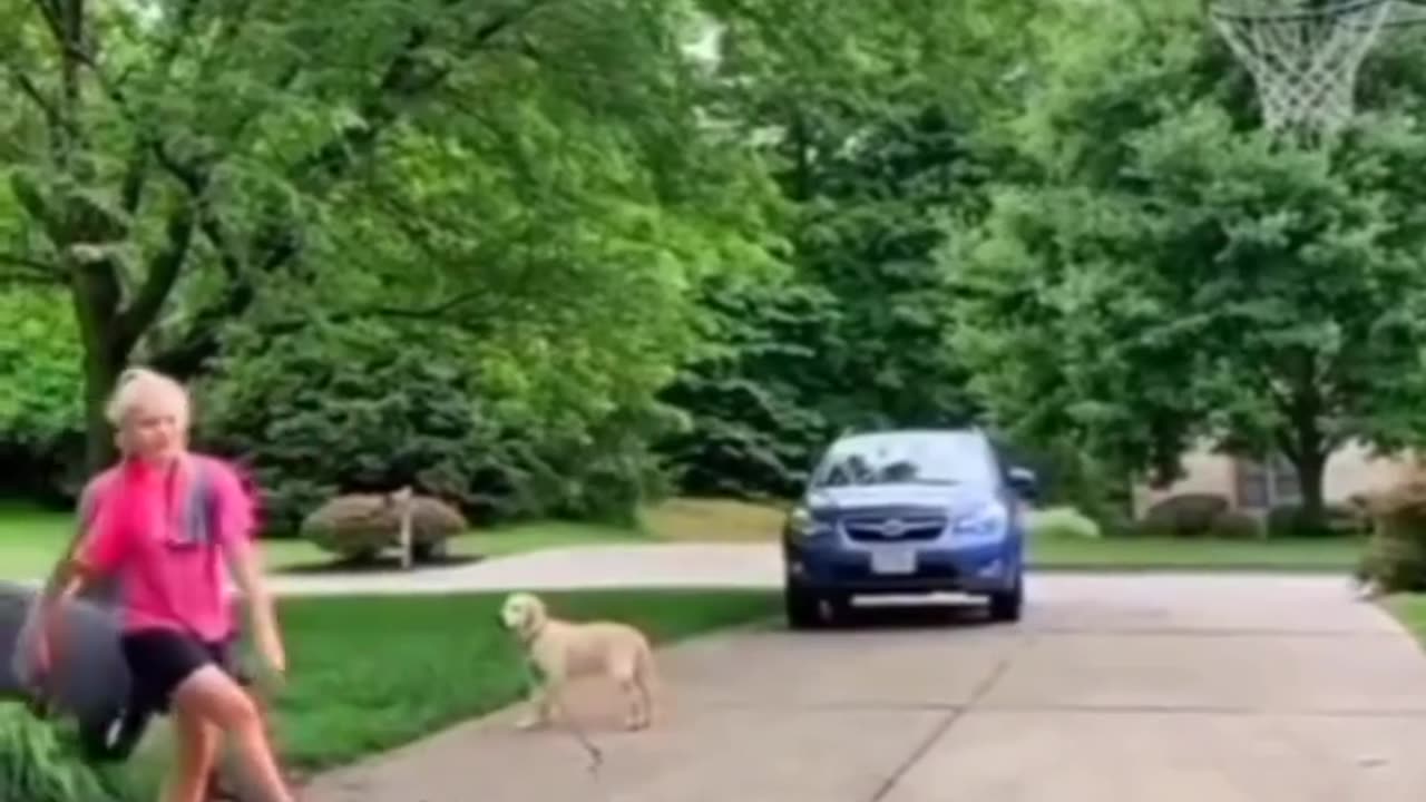 The Funny animal video||😅😅🤣||The Vishwajit Mix channel follow