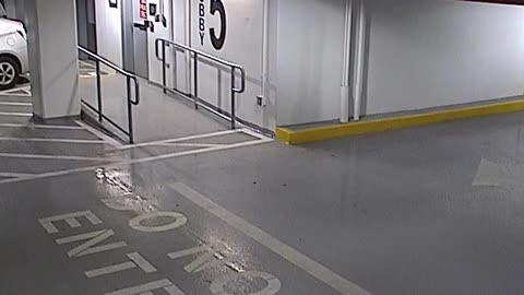 6080RHOBG3G305ANorthLobbyEntry_2021-01-06_15h40min03s380ms.mp4