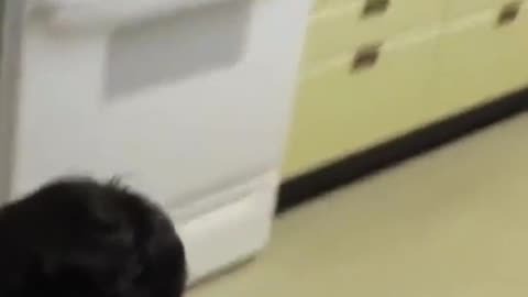 JOJI The Unexpected Secret Power of Leaks Revealed in Hilarious TikTok