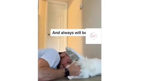How I wake my deaf and blind dog