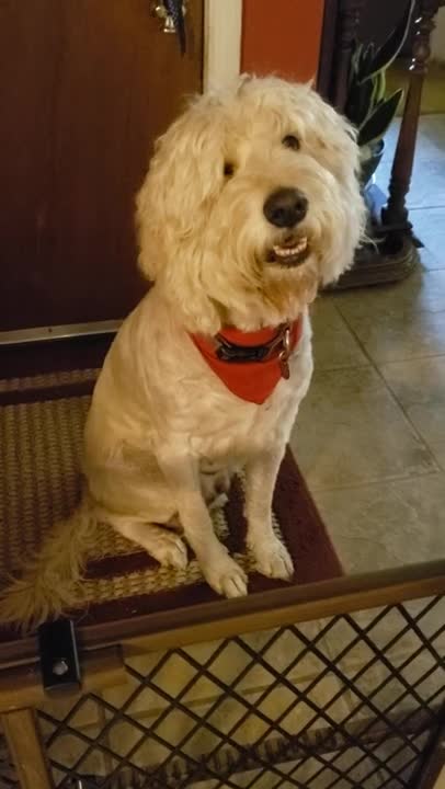 Mama Joy observes 9.2.21