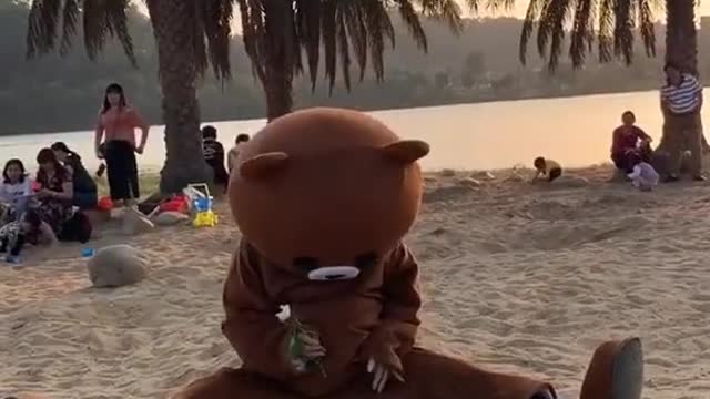 Teddy bear funny video