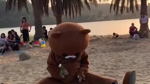 Teddy bear funny video