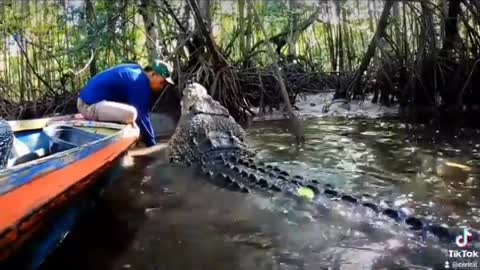 This is a beautiful and charming water-dwelling species