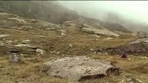 الاصرار على الحياه