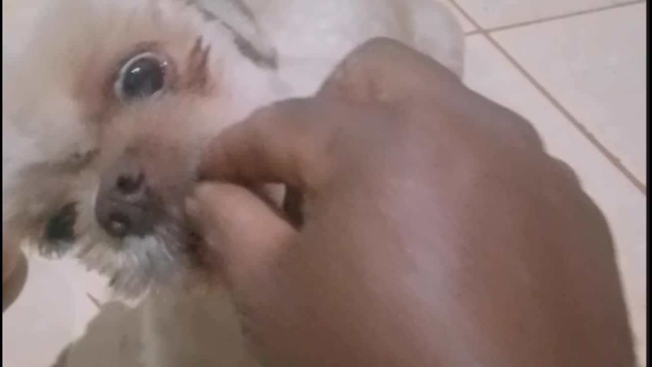 I will only eat if it hurts my mouth