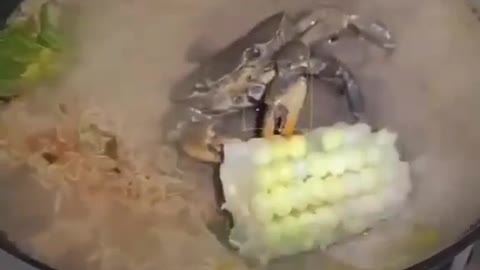 Chết đến nơi mà vẫn không biết!