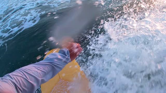 Surfing a Mini Simmons