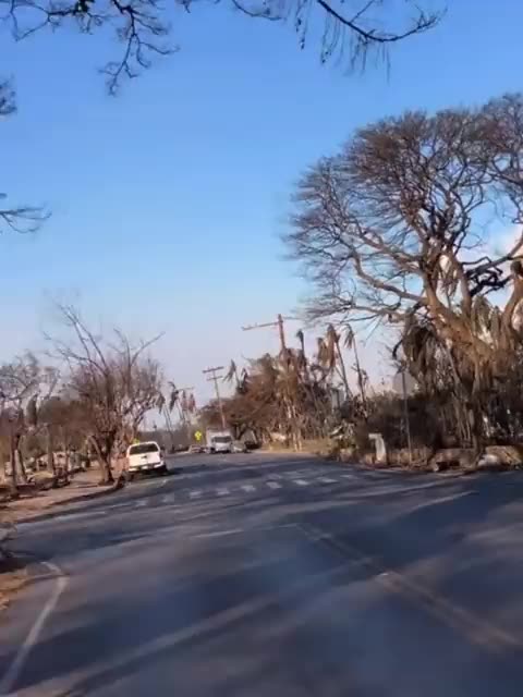 the fire on maui hawaii