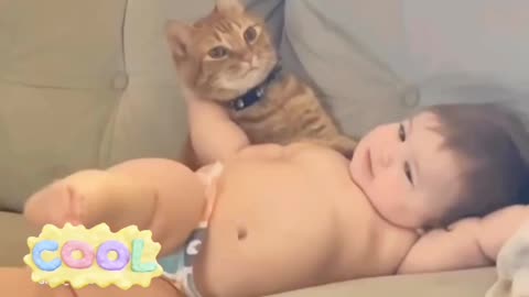 Kid and cat funny video