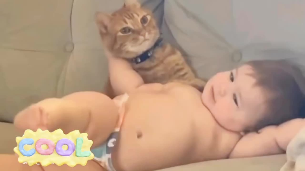 Kid and cat funny video