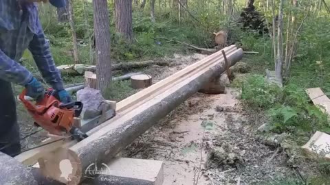 Man Transforms Massive Log into Amazing Boat | Start to Finish Build by @PSN Experiment