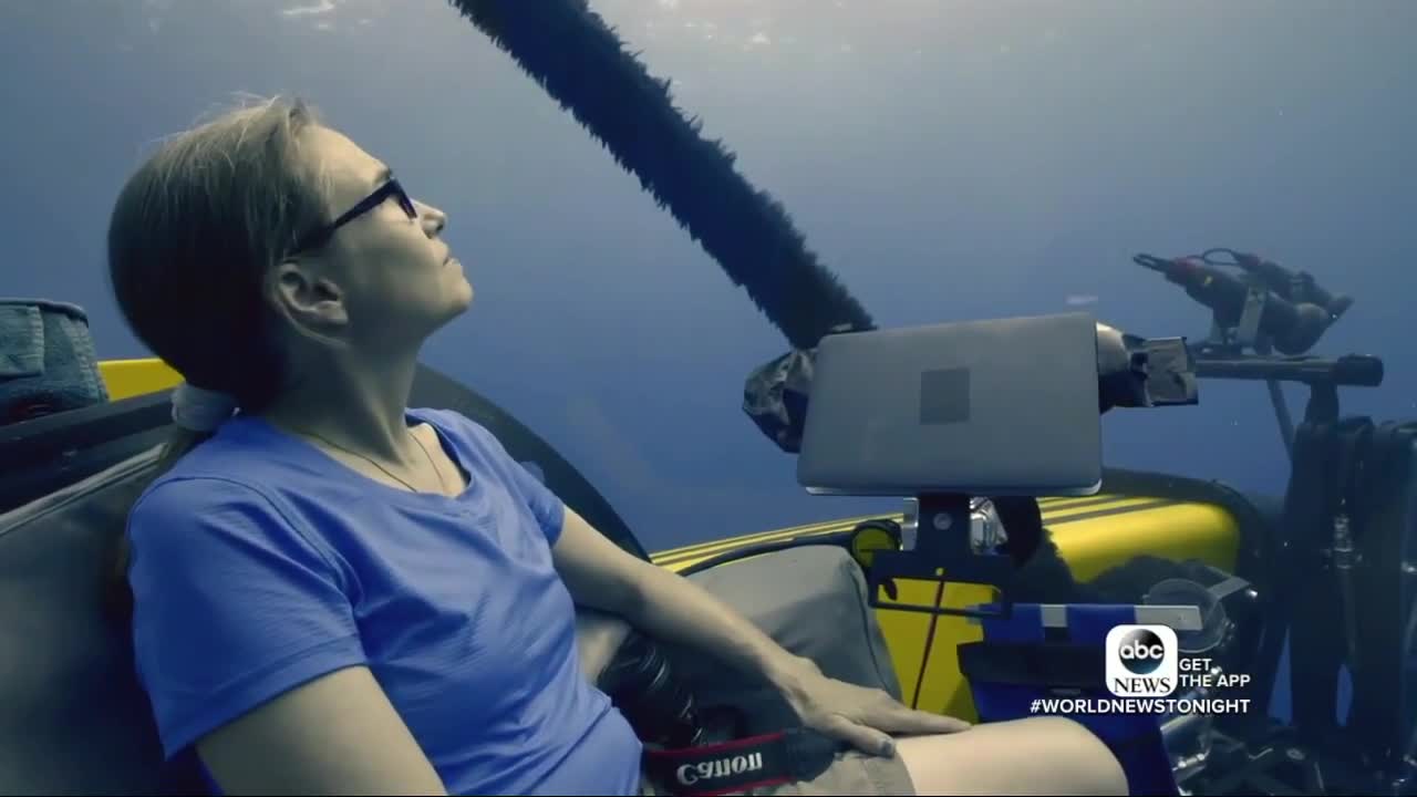 Show explores the world beneath the ocean's surface