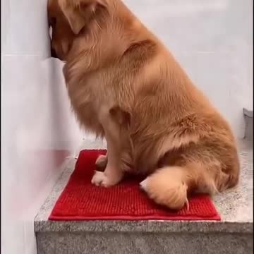 He realized he was wrong🥺