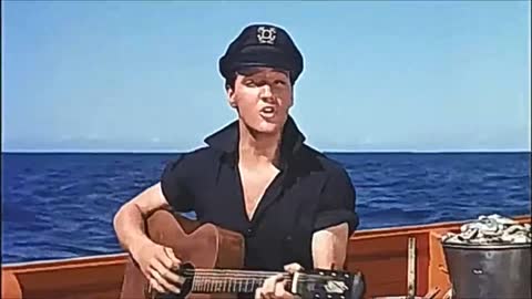 Elvis Presley Song Of A Shrimp HD