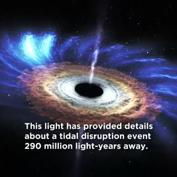 A Star Meets A Black Hole