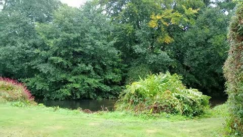 #thoughts, #rain, #humanity, _0