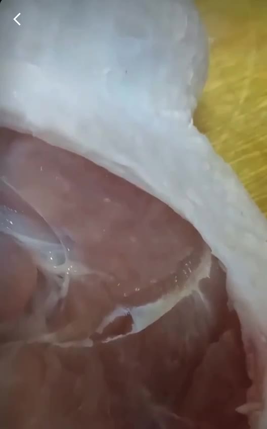 A chicken got vaccinated