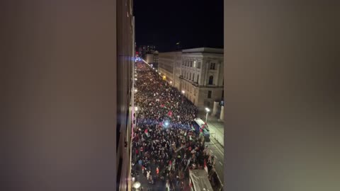 Pro Palestine Marches In Berlin & DC