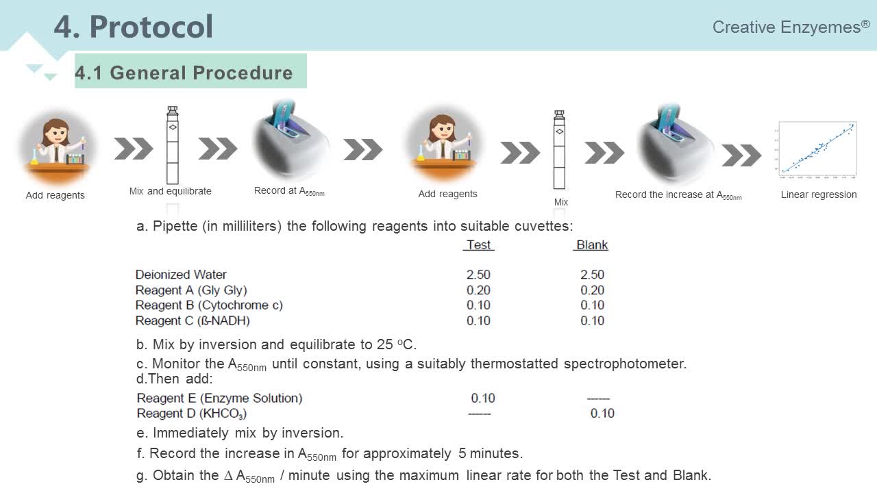 Enzymology Assays at Creative Enzymes