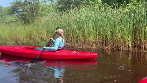 Kayaking thru 4 mile river.