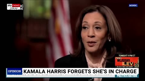 Democrats realised they are now stuck with Kamala Harris