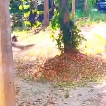 Meanwhile in South Florida