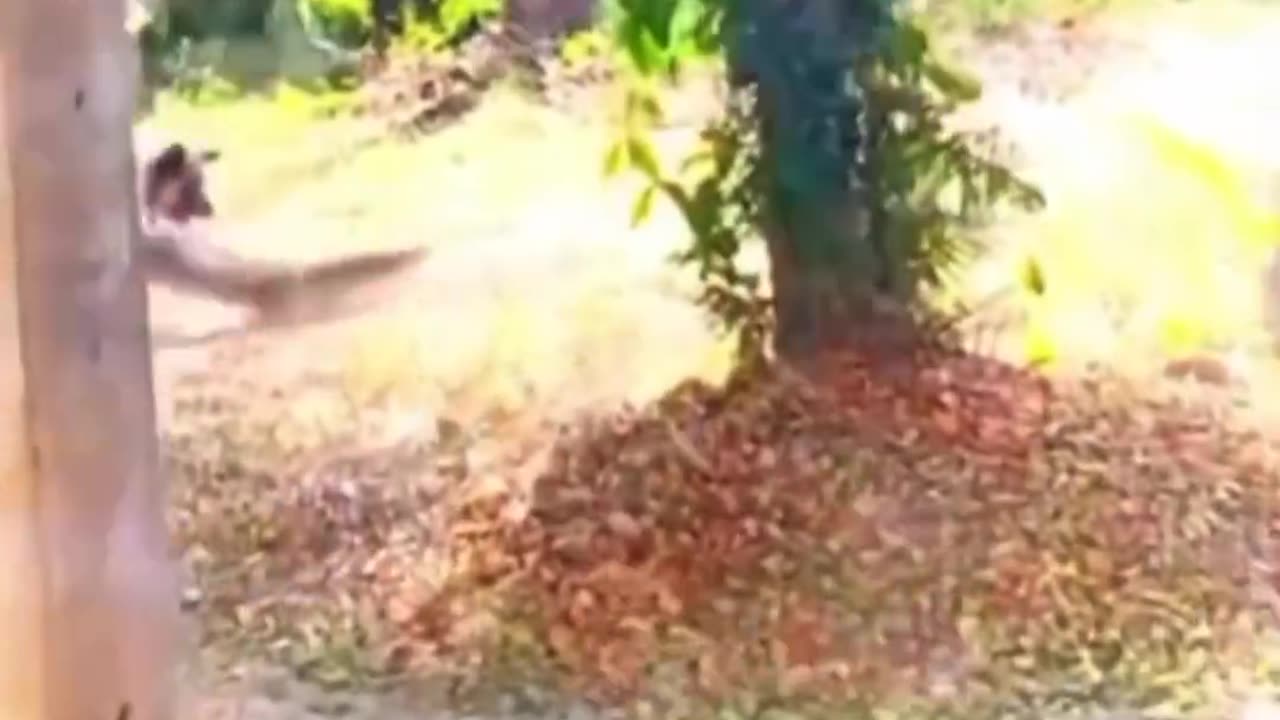 Meanwhile in South Florida