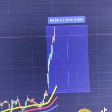 "Some Stocks That Are Doing Great!" 08/05/2024 #bitcoin