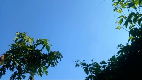 BOOM.. ❗ Blue Sky, video, #viral