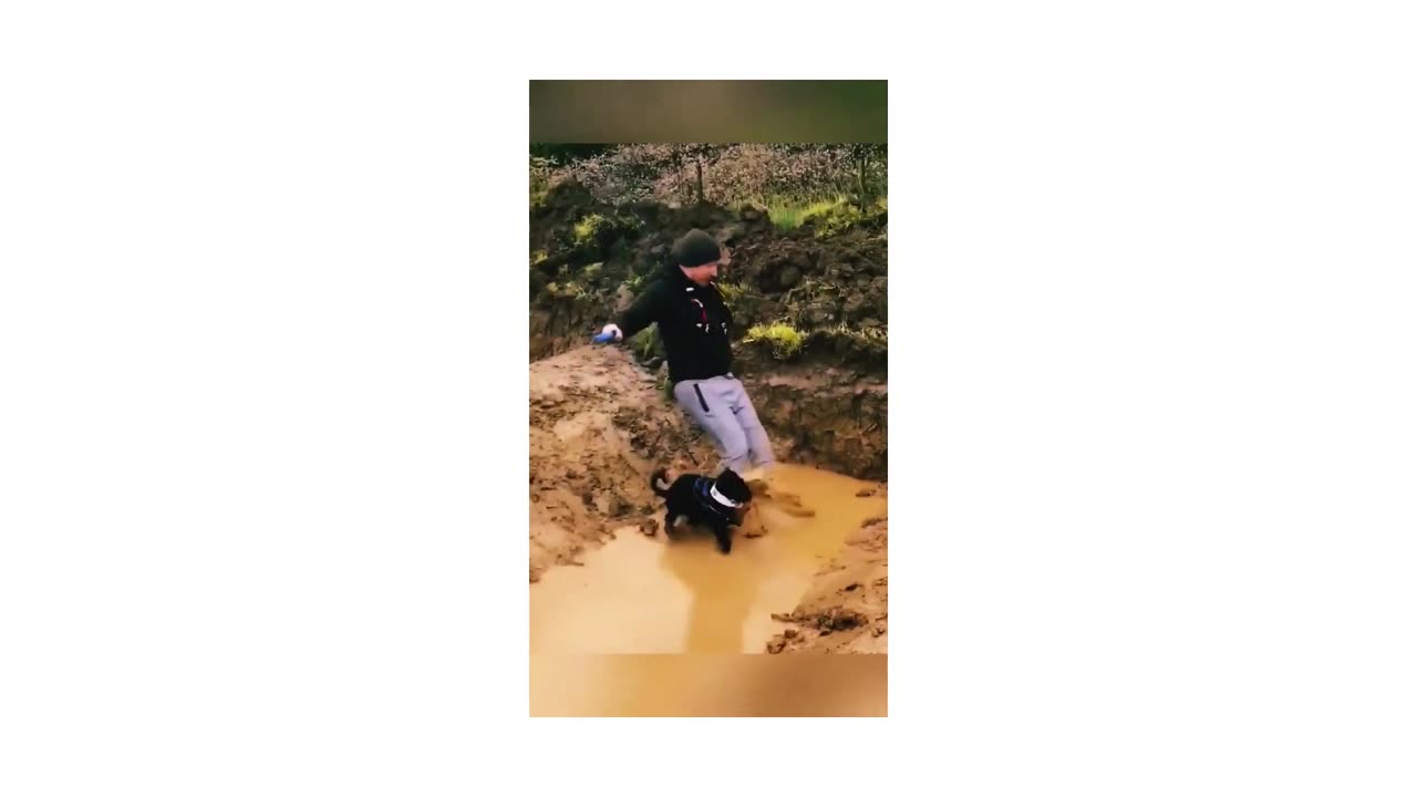 Funny 😁 Keep Smiling 😃 #shorts #funny #funnyvideo #funnyshorts