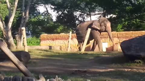 Passeio no Zoológico